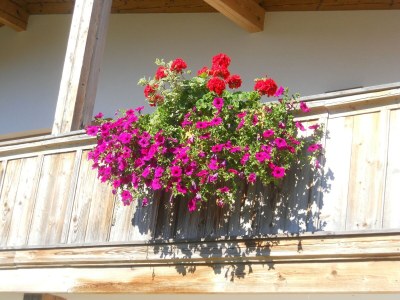 Chalet Chalet in Kufstein near Ski School - Outdoor photo 17