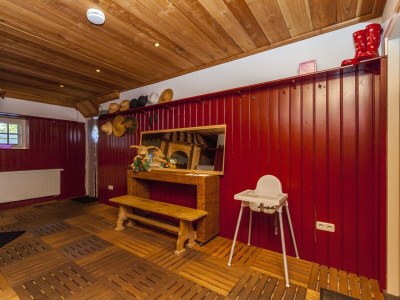 Holiday house Farmhouse in Balkbrug with Sauna - Features photo 15