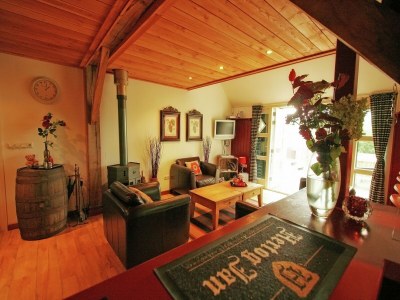 Holiday house Farmhouse in Balkbrug with Sauna - Features photo 25