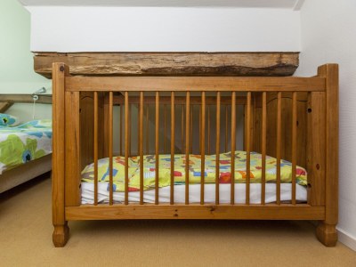 Holiday house Farmhouse in Balkbrug with Sauna - Outdoor photo 40