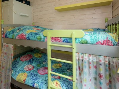 Holiday house Holiday Home in Arriën near Beerze Nature - Features photo 15