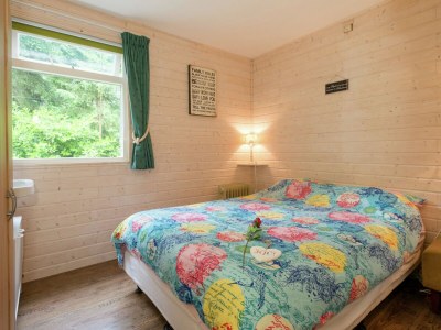 Holiday house Holiday Home in Arriën near Beerze Nature - Features photo 16