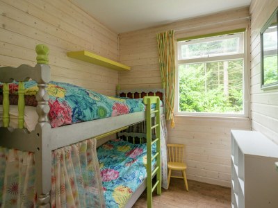 Holiday house Holiday Home in Arriën near Beerze Nature - Features photo 20