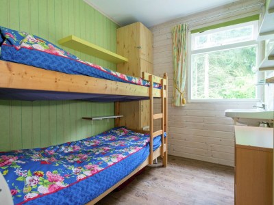 Holiday house Holiday Home in Arriën near Beerze Nature - Features photo 21