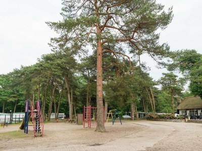 Holiday house Holiday Home in Arriën near Beerze Nature - Environment photo 23