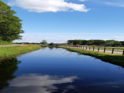 Holiday house Holiday Home in Arriën near Beerze Nature - Environment photo 26