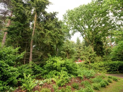 Holiday house Holiday Home in Arriën near Beerze Nature - Environment photo 28