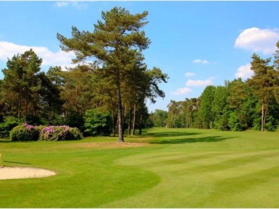 Holiday house Holiday Home in Arriën near Beerze Nature - Environment photo 29