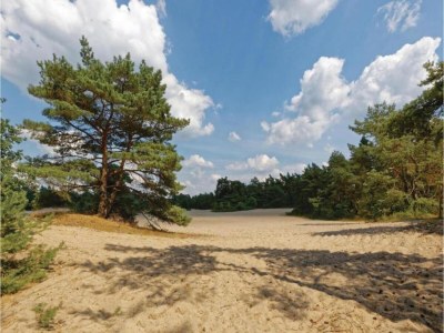 Holiday house Holiday Home in Arriën near Beerze Nature - Environment photo 30