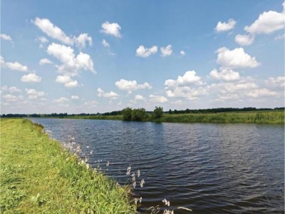 Holiday house Holiday Home in Arriën near Beerze Nature - Environment photo 31