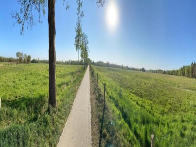 Holiday house Holiday Home in Arriën near Beerze Nature - Environment photo 33