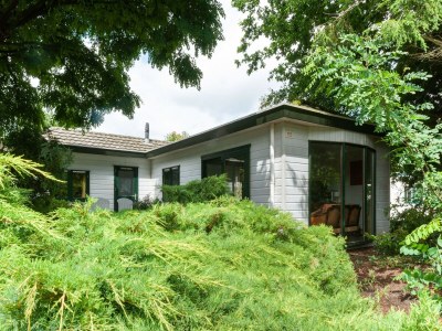 Chalet Chalet in Stegeren mit Pool und Gärten - Outdoor photo 2