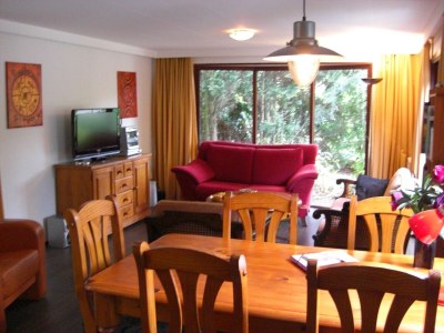 Chalet Chalet in Stegeren mit Pool und Gärten - Features photo 12