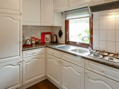 Chalet Chalet in Stegeren mit Pool und Gärten - Features photo 13