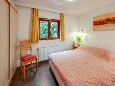 Chalet Chalet in Stegeren mit Pool und Gärten - Features photo 14