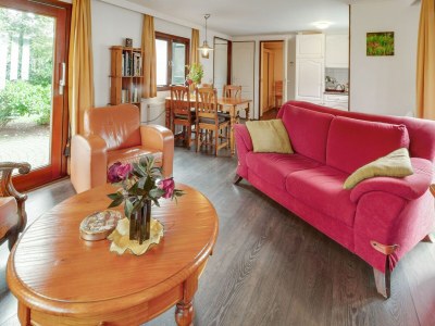 Chalet Chalet in Stegeren mit Pool und Gärten - Features photo 30