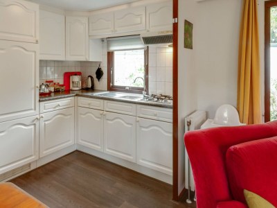 Chalet Chalet in Stegeren mit Pool und Gärten - Features photo 34