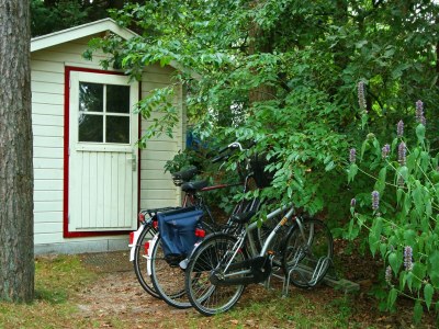 Holiday house Holiday Home in Nunspeet near Forest - Outdoor photo 8