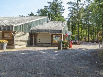 Holiday house Holiday Home in Nunspeet near Forest - Features photo 15