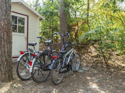 Holiday house Holiday Home in Nunspeet near Forest - Outdoor photo 30
