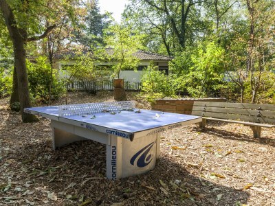 Holiday house Holiday Home in Nunspeet near Forest - Outdoor photo 38