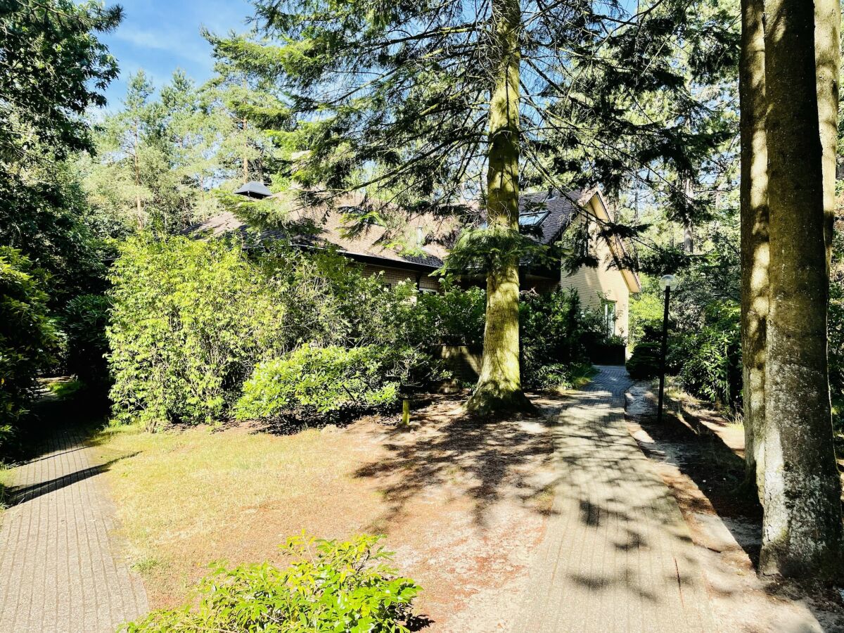 Villa Woodland Group Villa near Veluwe & Campfire - Outdoor photo 4