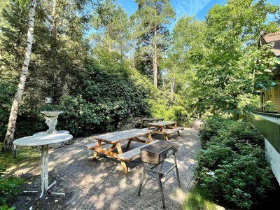 Villa Woodland Group Villa near Veluwe & Campfire - Outdoor photo 5