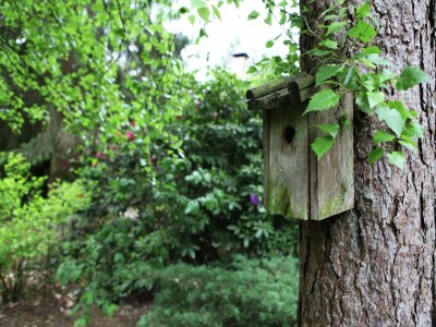 Villa Woodland Group Villa near Veluwe & Campfire - Outdoor photo 6