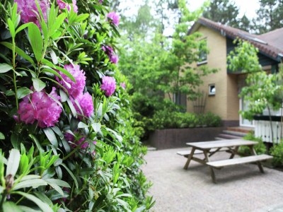 Villa Woodland Group Villa near Veluwe & Campfire - Outdoor photo 10