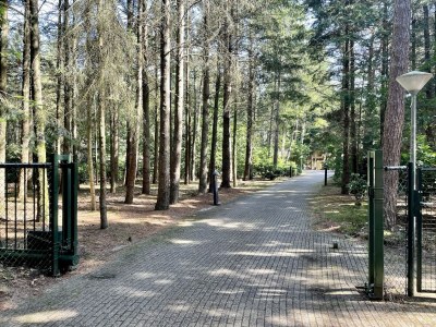 Villa Woodland Group Villa near Veluwe & Campfire - Features photo 23