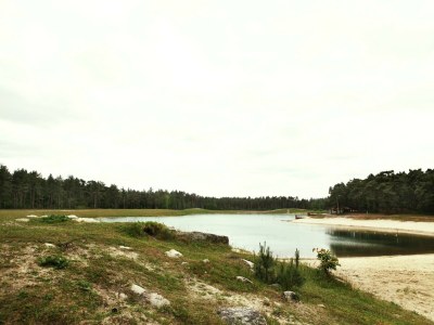 Villa Woodland Group Villa near Veluwe & Campfire - Environment photo 34