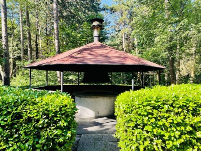 Villa Woodland Group Villa near Veluwe & Campfire - Outdoor photo 36