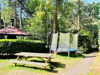 Villa Woodland Group Villa near Veluwe & Campfire - Outdoor photo 39