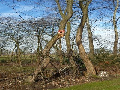 Holiday house Holiday Home in Heeten near Forest Trails - Outdoor photo 7