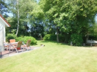 Holiday house Holiday Home in Heeten near Forest Trails - Outdoor photo 11