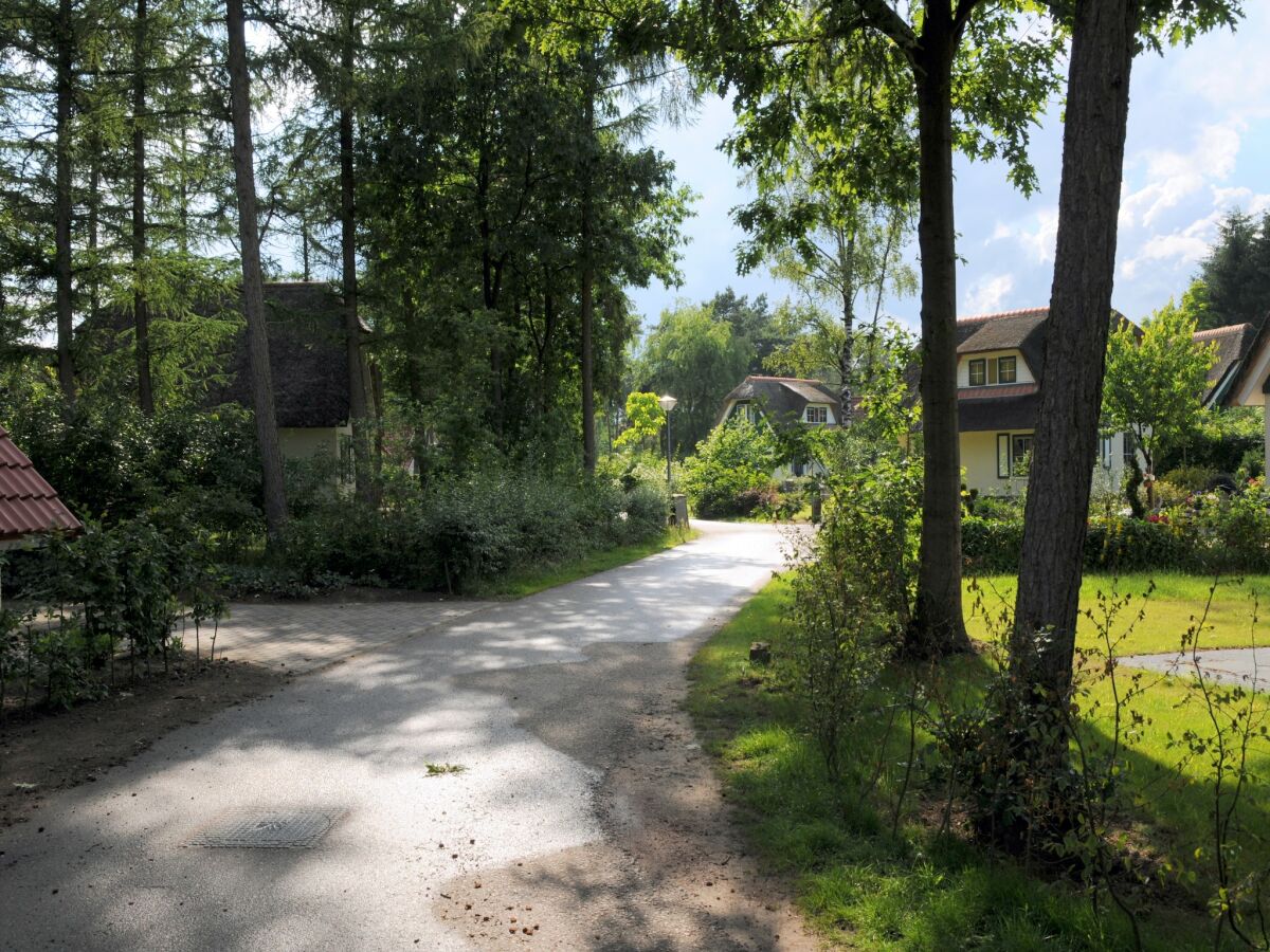 Holiday house Ferienhaus in Heeten am Wald - Outdoor photo 3