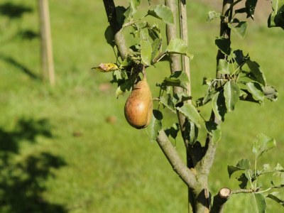 Holiday house Ferienhaus in Heeten am Wald - Outdoor photo 8