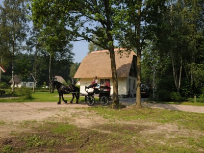 Holiday house Ferienhaus in Heeten am Wald - Outdoor photo 13