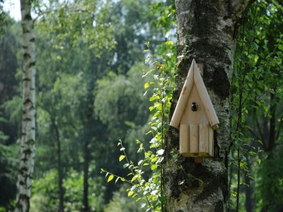 Holiday house Ferienhaus in Heeten am Wald - Outdoor photo 32