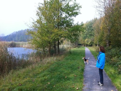 Villa Villa in Biddinghuizen am See für 6 Von Belvilla - Environment photo 26