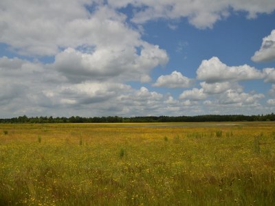 Cottage Mansion in Nijensleek with Sauna & Garden - Environment photo 33