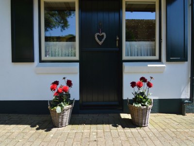 Holiday house Holiday Home in Nijeberkoop near Nature - Outdoor photo 33
