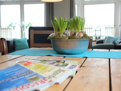 Holiday house Holiday Home in Nijeberkoop near Nature - Outdoor photo 34