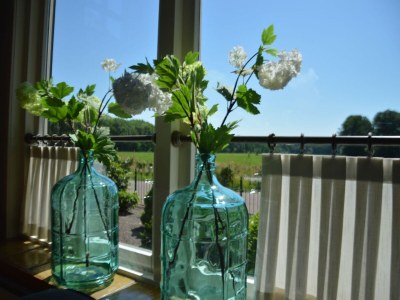 Holiday house Holiday Home in Nijeberkoop near Nature - Outdoor photo 35