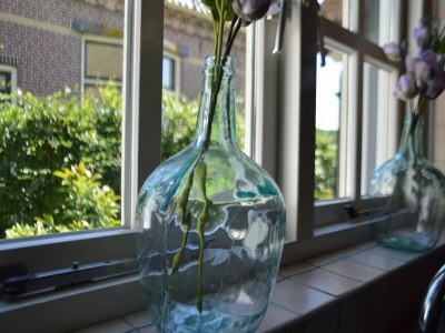 Holiday house Holiday Home in Nijeberkoop near Nature - Outdoor photo 38