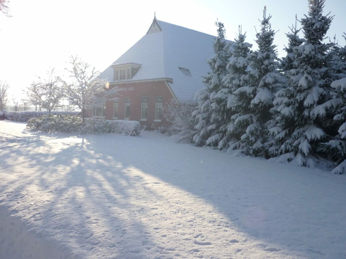 Farmhouse Farmhouse in Fochteloo near National Park - Outdoor photo 3