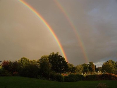 Farmhouse Farmhouse in Fochteloo near National Park - Environment photo 22