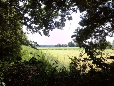 Farmhouse Farmhouse in Waskemeer with Large Garden - Outdoor photo 6