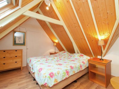 Farmhouse Farmhouse in Waskemeer with Large Garden - Features photo 18