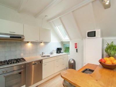 Farmhouse Farmhouse in Waskemeer with Large Garden - Features photo 20